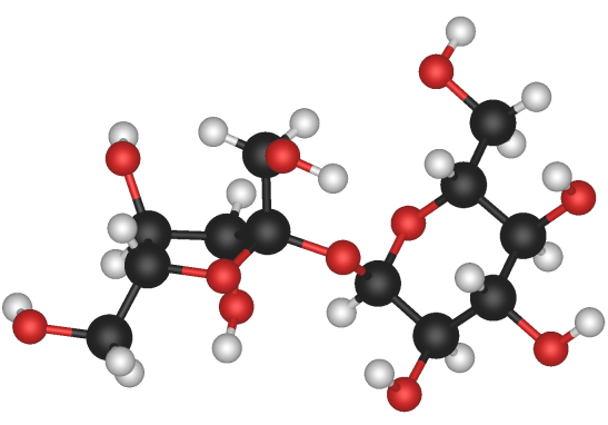 Sucrose