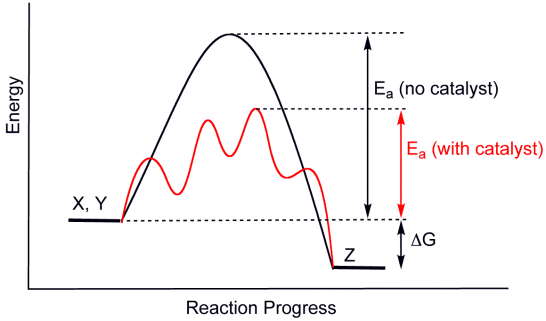 Catalysis