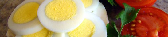 eggs