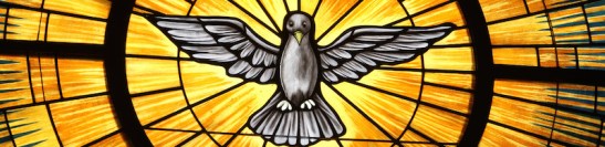 Why is this image appropriate for today?