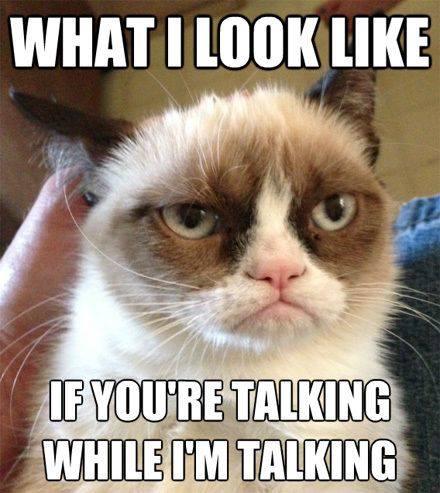 grumpy-cat-no-talking